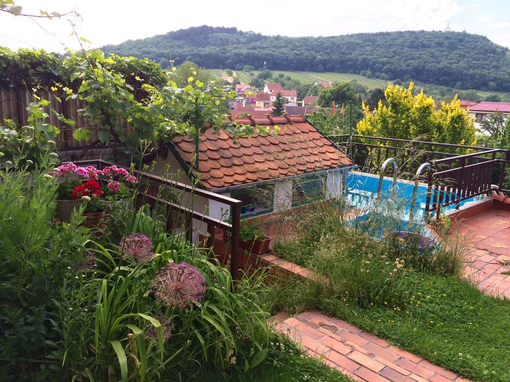 Hotel Pension Crhan Mikulov Exteriér fotografie